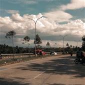 Rồn