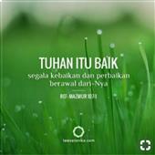 Tỷ 