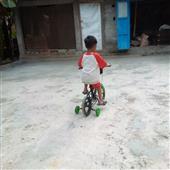Cuộ