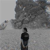 Pok