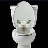 Đán