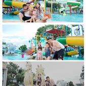Thể