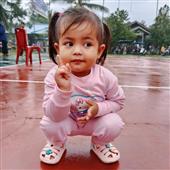 Thố