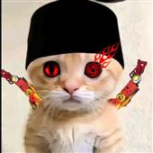 Tên