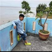 Vàn