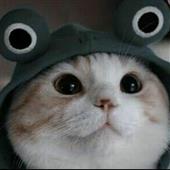 Bản