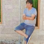 Chỉ