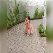 Bản