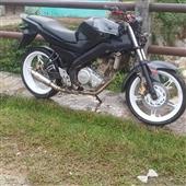 Dự 