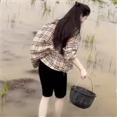 Giả