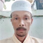 Hổ 