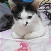 Vươ