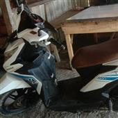 Xem