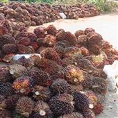 lộn
