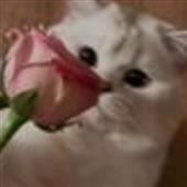 Thù