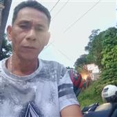 Bản
