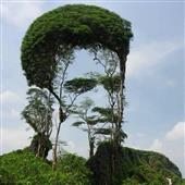 Vỡ 