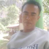 Gấu