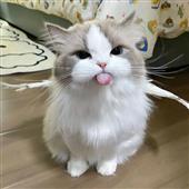 Bìn