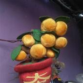 Vận