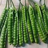 Đọc