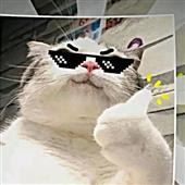 Chú