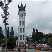 Số 