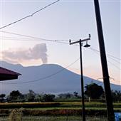 Tướ