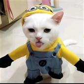 Xí 