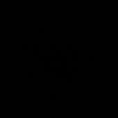 Tim