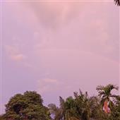 Lịc