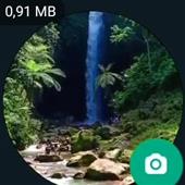 6 3