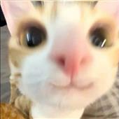 Bắt