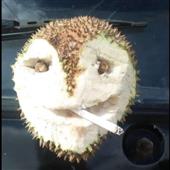 SIê