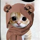 Các