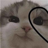 3 Đ