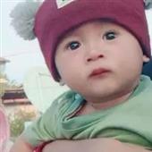Sức