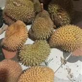 Thầ