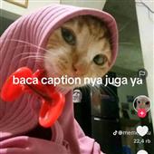 Đán