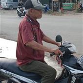 Giả