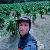 Bản