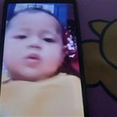 Biể
