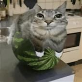 Các