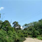 Ngọ
