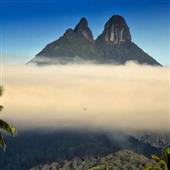 Trự