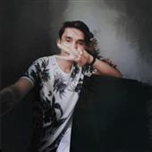 Wil