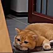 Tiề
