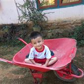 Thả