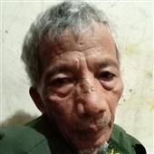Giả