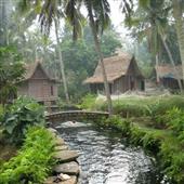 Chạ